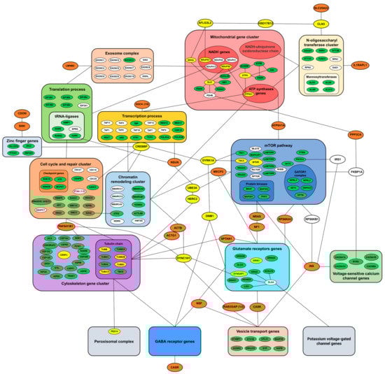 Ijms 24 05280 g004 550