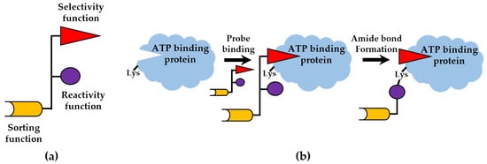 Cells 12 00925 g004 550