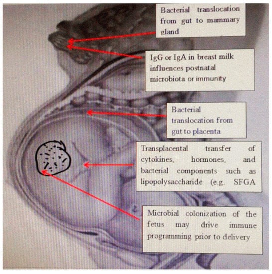 Ijms 24 05723 g001 550