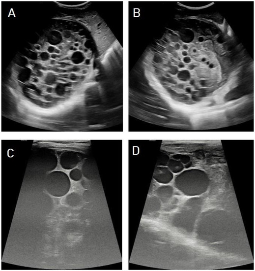 Diagnostics 13 01127 g006 550