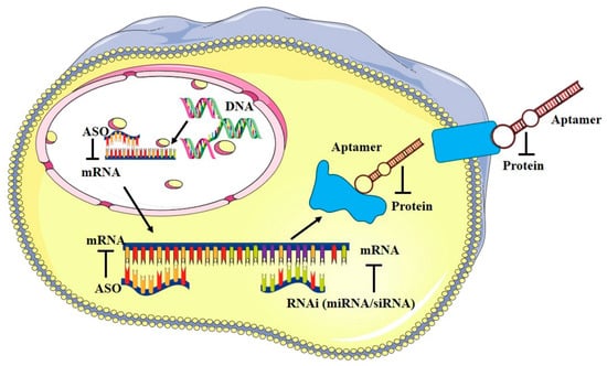 Ijms 24 06121 g001 550