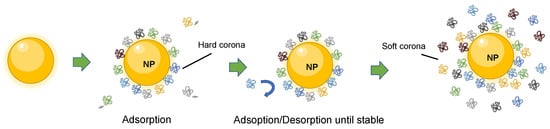 Nanomaterials 13 01132 g001 550