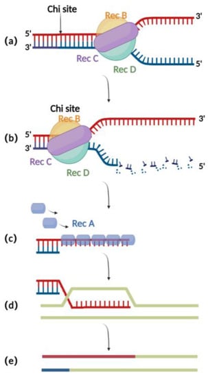 Microorganisms 11 00589 g001 550