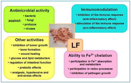 Composition And Characteristics Of Lactoferrin Composition And Characteristics Of Lactoferrin