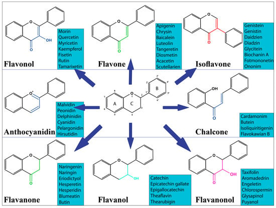 Metabolites 13 00481 g001 550