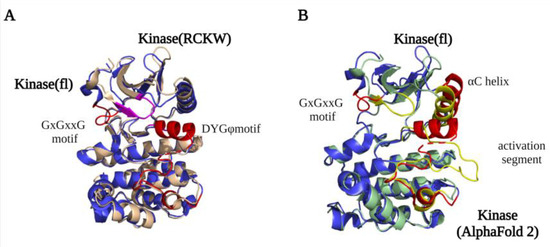 Biomolecules 13 00612 g002 550