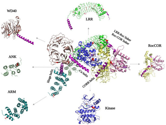 Biomolecules 13 00612 g004 550