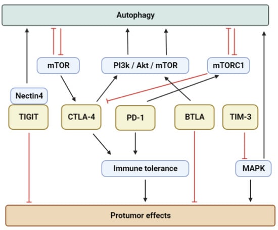 Biomedicines 11 01130 g002 550