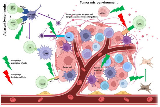 Biomedicines 11 01130 g003 550