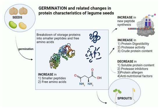 Molecules 28 03204 g004 550