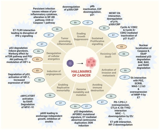 Pathogens 12 00564 g002 550