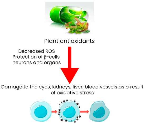 Metabolites 13 00513 g009 550