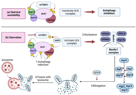 Biomolecules 13 00649 g002 550