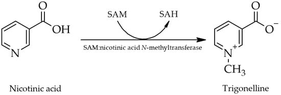 Molecules 28 03460 g001 550