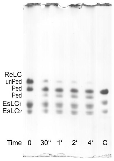 Cells 12 00514 g007 550