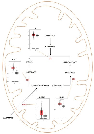Metabolites 13 00560 g004 550