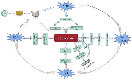 Toxics 11 00395 g002 550