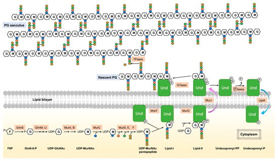 Biomolecules 13 00720 g001 550