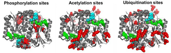 Antioxidants 12 00379 g002 550