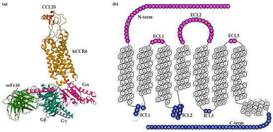 Antibodies 12 00030 g001 550