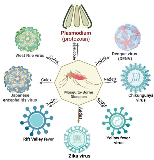 Pathogens 12 00635 g001 550