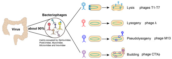 Microorganisms 11 01181 g001 550