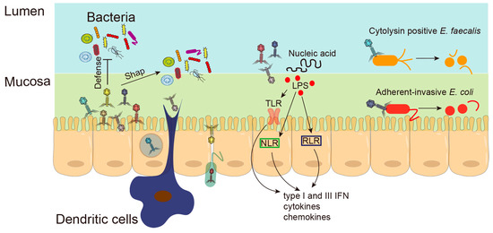 Microorganisms 11 01181 g002 550