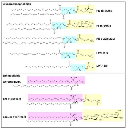 Pharmaceutics 15 00437 g001 550