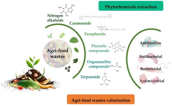 Metabolites 13 00634 g002 550