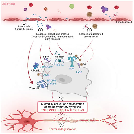 Biomedicines 11 01383 g003 550