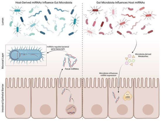 Biomedicines 11 01349 g004 550