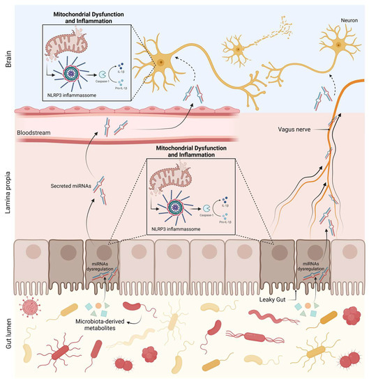 Biomedicines 11 01349 g005 550