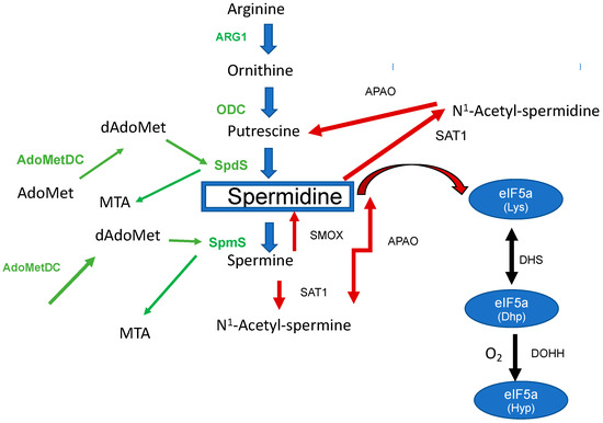 Biomolecules 13 00803 g001 550