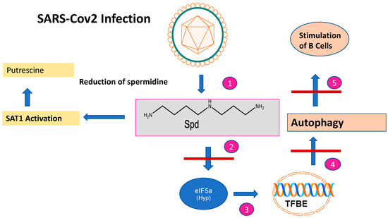 Biomolecules 13 00803 g002 550