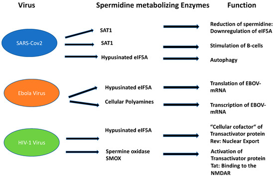 Biomolecules 13 00803 g003 550