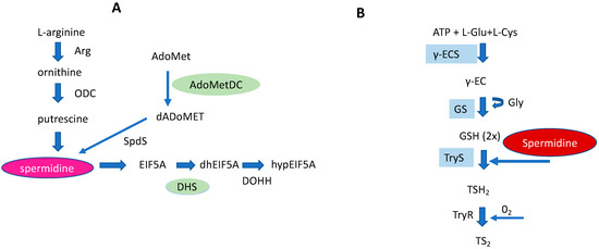 Biomolecules 13 00803 g005 550