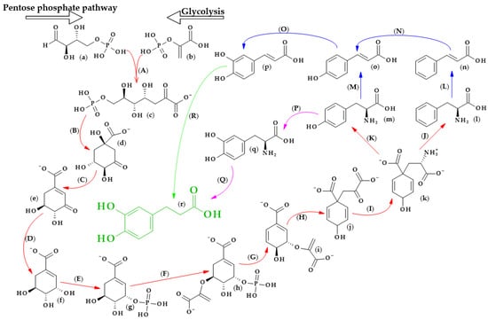 Biomolecules 13 00859 g003 550