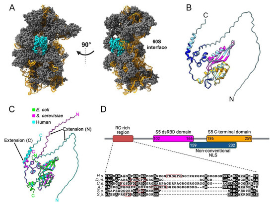 Biomolecules 13 00853 g001 550