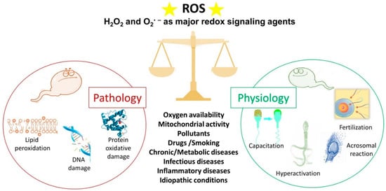 Antioxidants 12 01098 g002 550