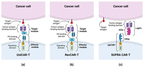 Cancers 15 02944 g003 550