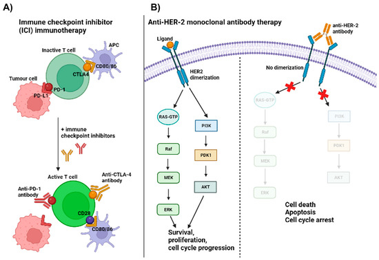 Immuno 03 00013 g001 550