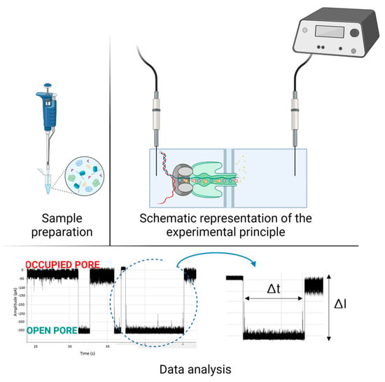 Biomedicines 11 01625 g002 550