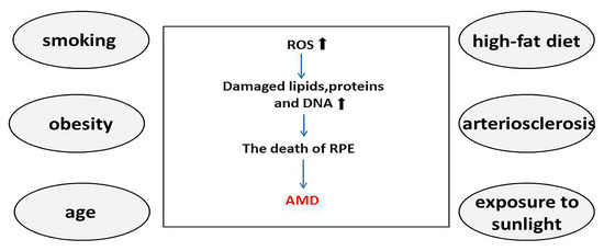 Biomolecules 13 00901 g001 550