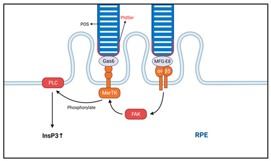 Biomolecules 13 00901 g002 550