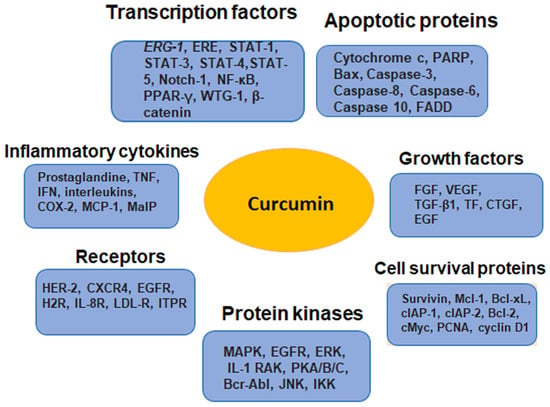 Pharmaceutics 15 01612 g002 550