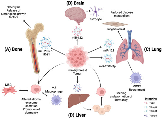 Biomedicines 11 01614 g003 550