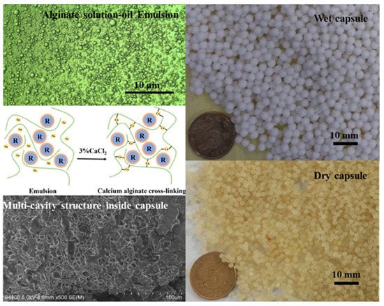 Sustainability 15 09659 g006 550