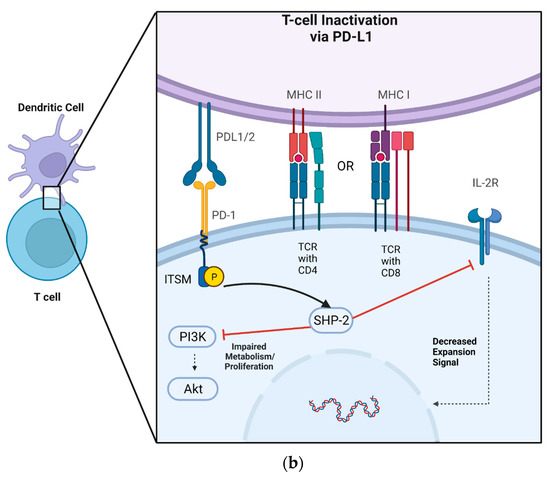 Cells 12 01609 g001b 550