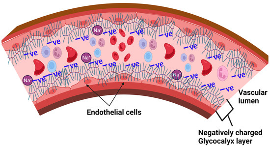 Nutrients 15 02873 g002 550