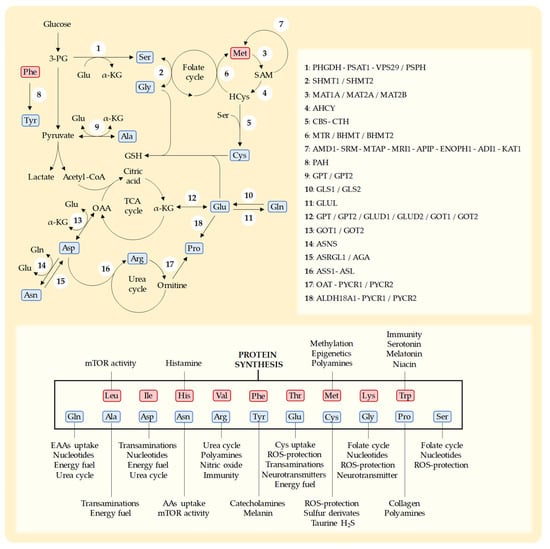 Nutrients 15 02879 g002 550